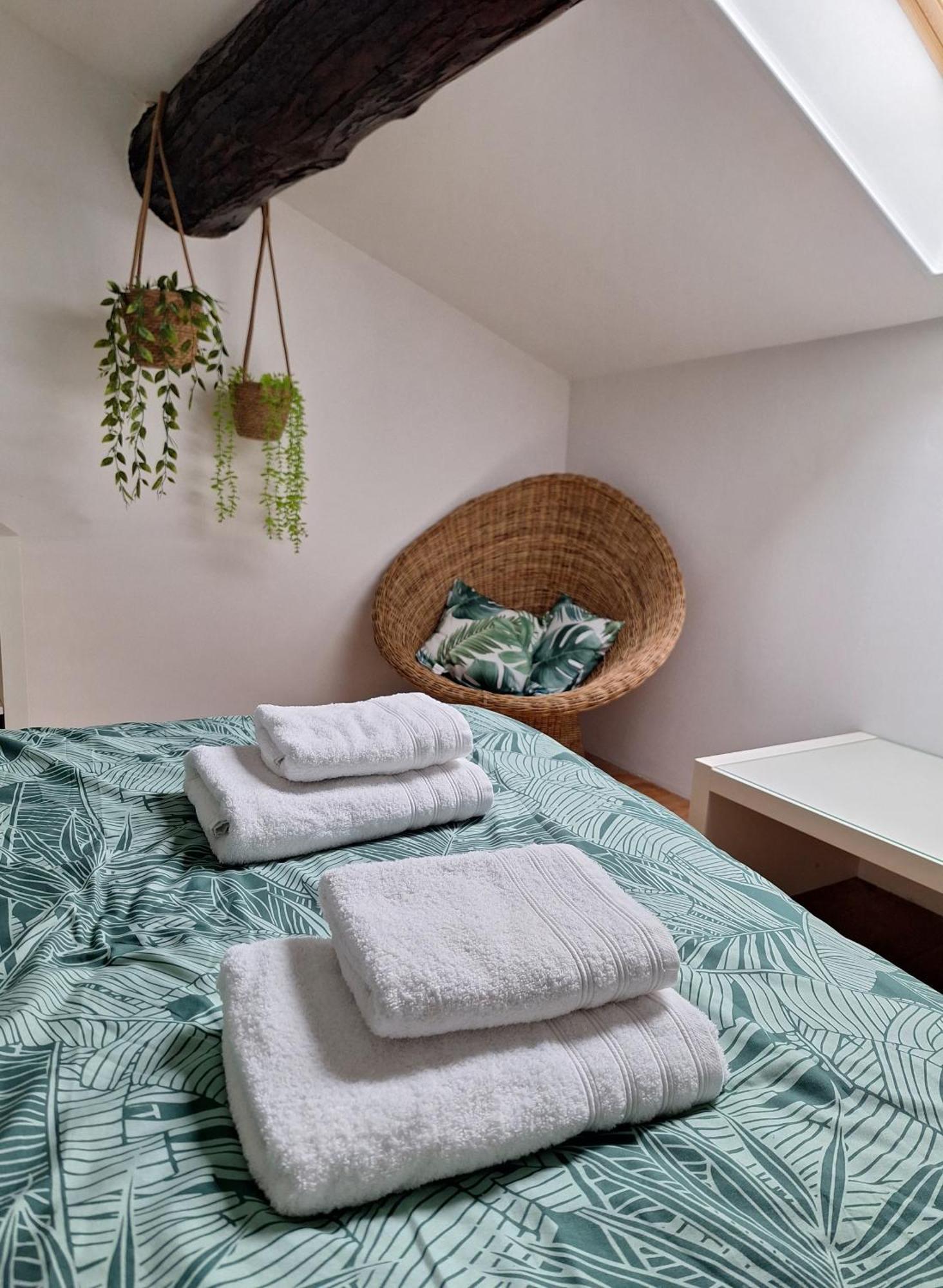 La Garriguette Appart Centre Historique Calme Climatise 6 Couchages Arles Ngoại thất bức ảnh